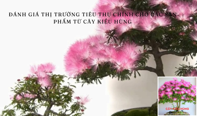 Đánh giá thị trường tiêu thụ chính cho các sản phẩm từ cây Kiều hùng