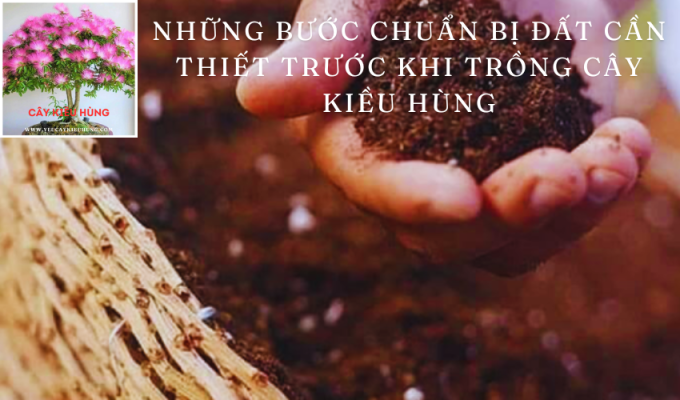 Những bước chuẩn bị đất cần thiết trước khi trồng cây Kiều Hùng